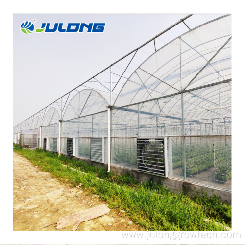 High quality multi-span plastic film green house